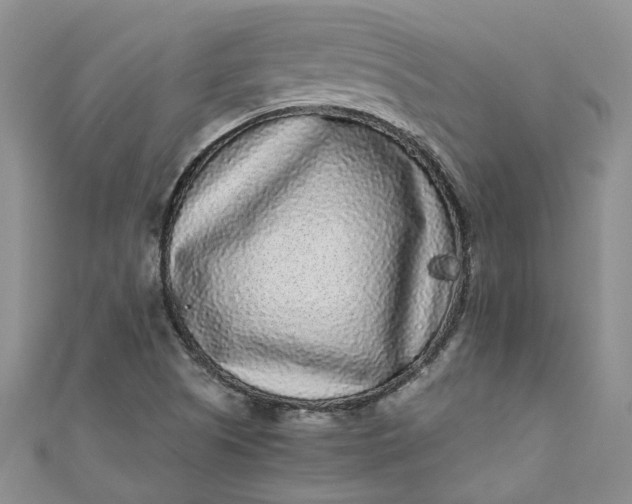 X0000110871505200907021425