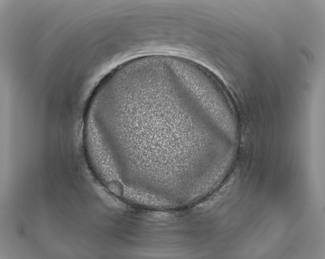 X0000110871507200907021425