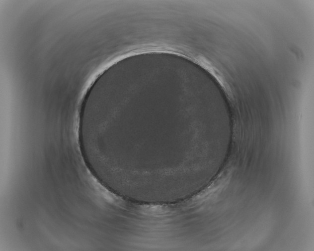 X0000110871508200907021426