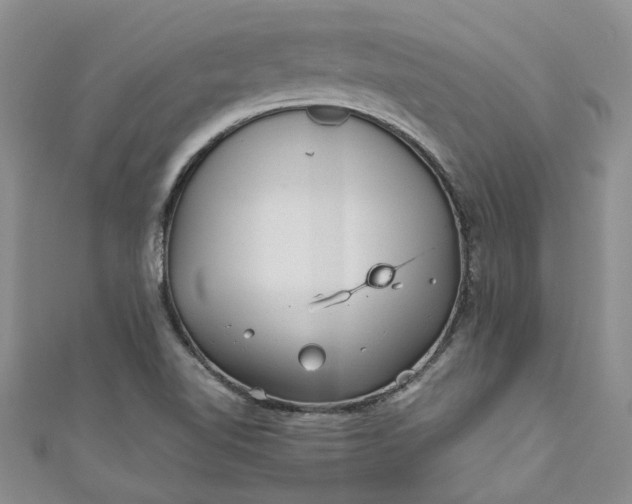 X0000110871510200907021426