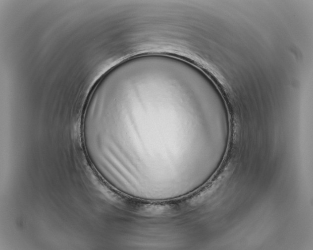 X0000110871513200907021426