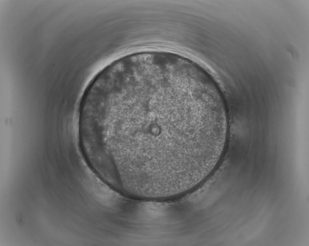 X0000110871514200907021426