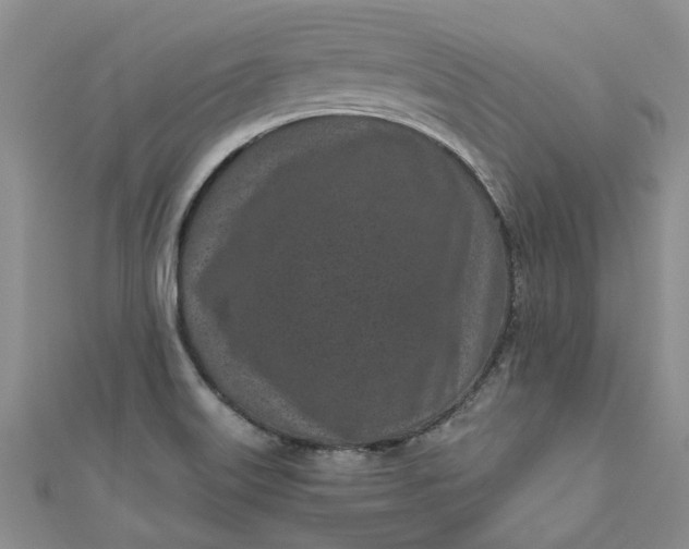 X0000110871515200907021426