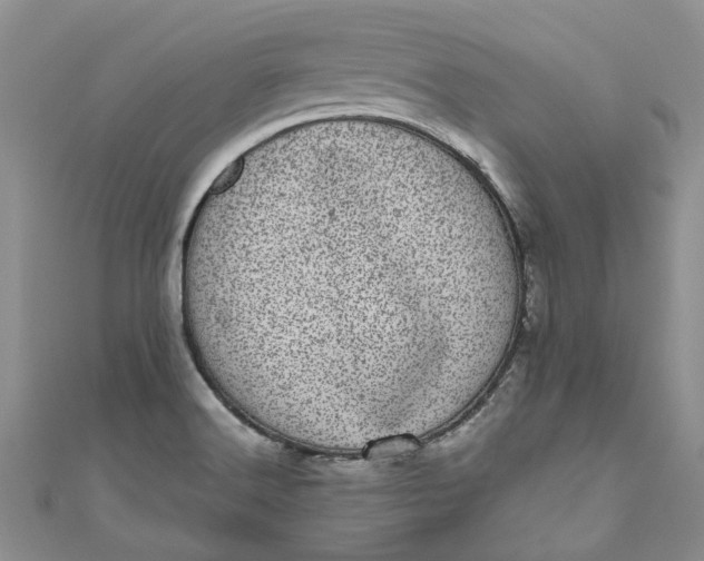 X0000110871516200907021426