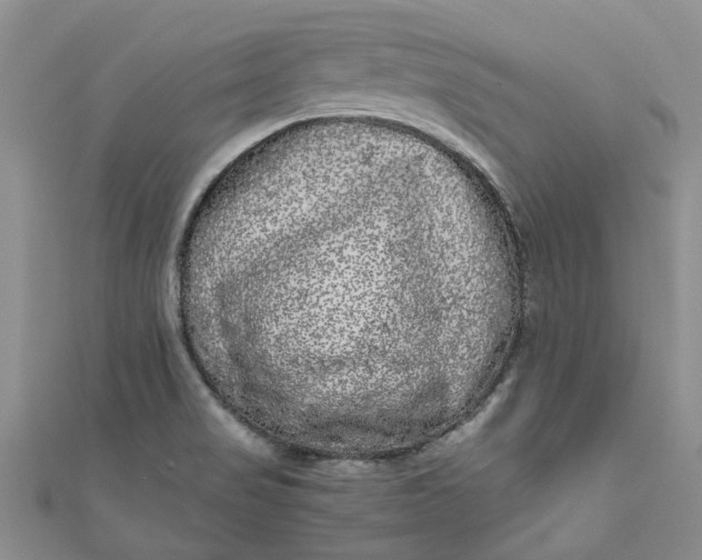 X0000110871517200907021426