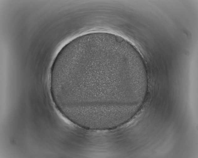 X0000110871519200907021426