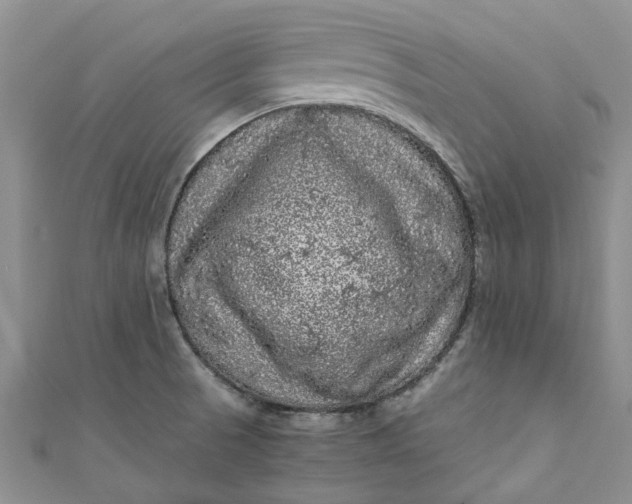 X0000110871521200907021426