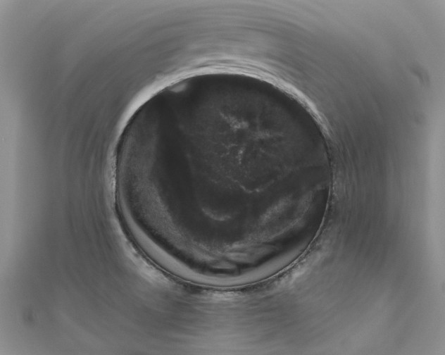 X0000110871522200907021426