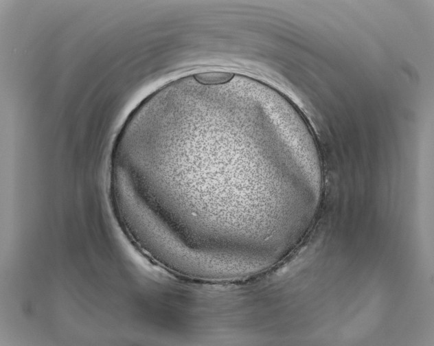 X0000110871523200907021426