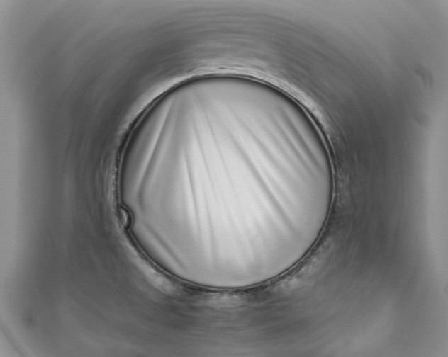 X0000110871525200907021426