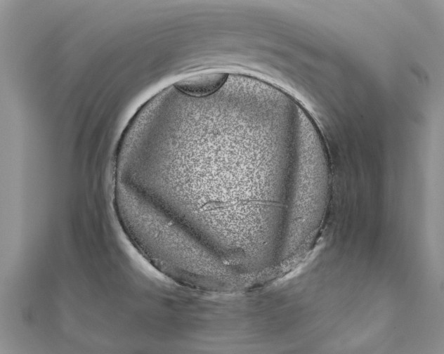 X0000110871526200907021426