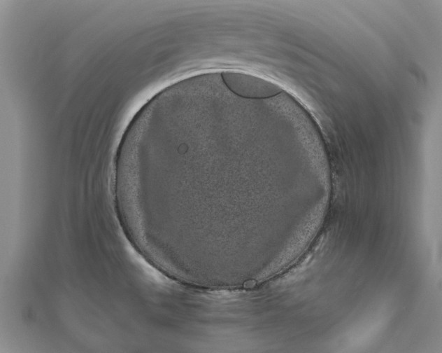 X0000110871527200907021426