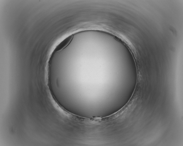 X0000110871528200907021426