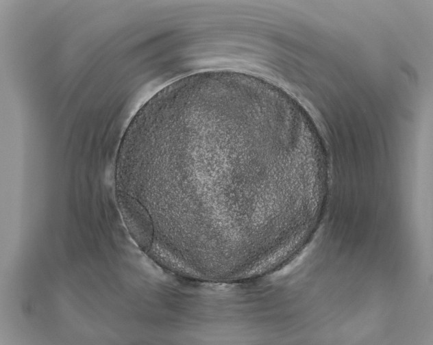 X0000110871529200907021426