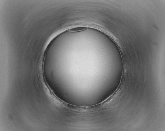 X0000110871530200907021426