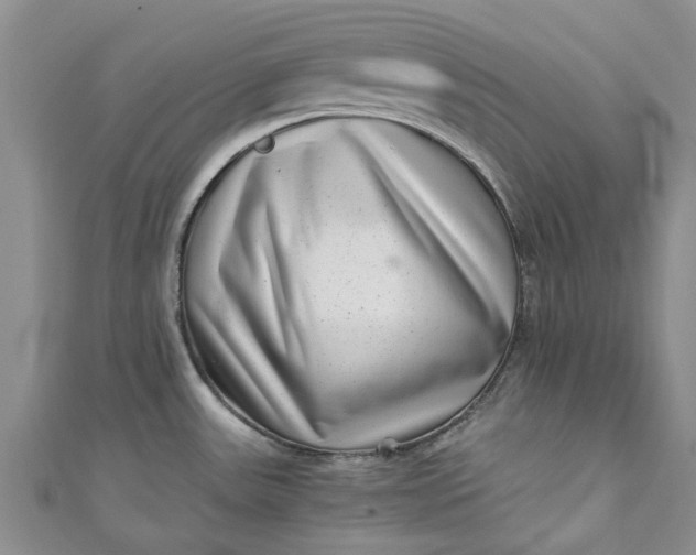 X0000110871531200907021426