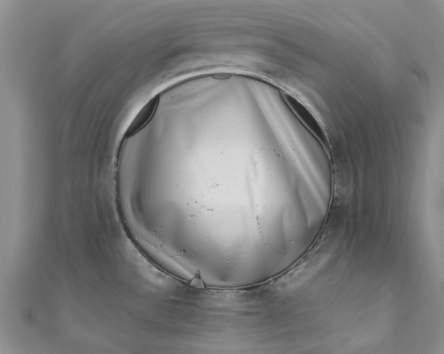 X0000110871532200907021426