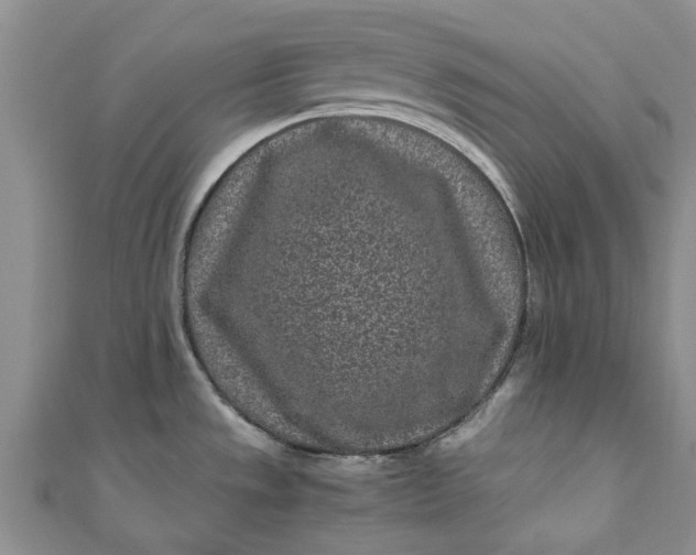 X0000110871533200907021426