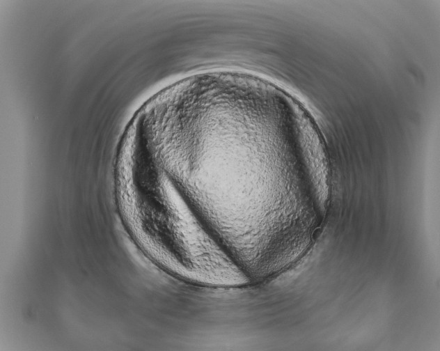 X0000110871534200907021426