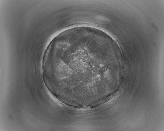 X0000110871535200907021426