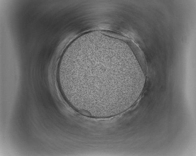 X0000110870001200907091410