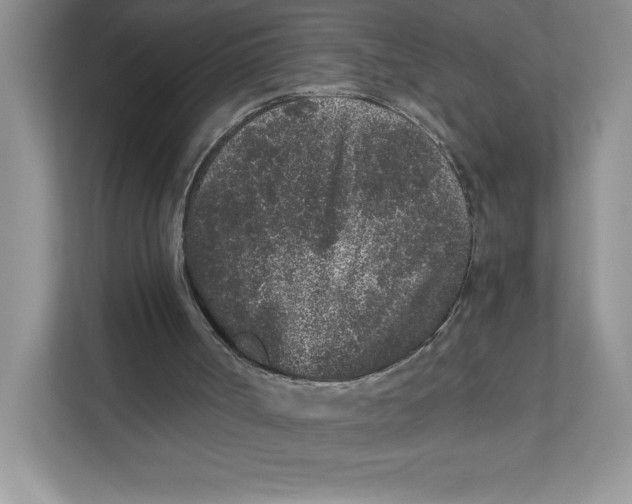 X0000110870002200907091410