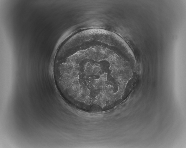 X0000110870004200907091410