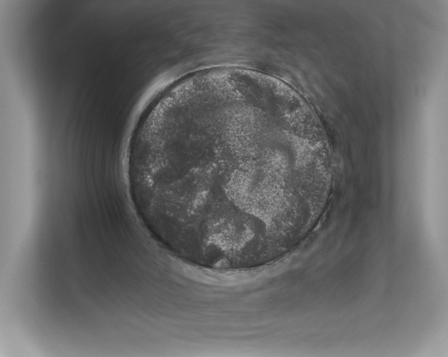 X0000110870006200907091410