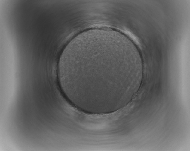 X0000110870009200907091410