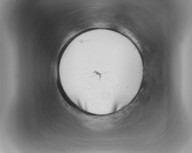 X0000110870011200907091410