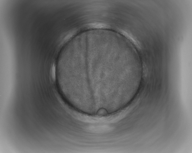 X0000110870014200907091410