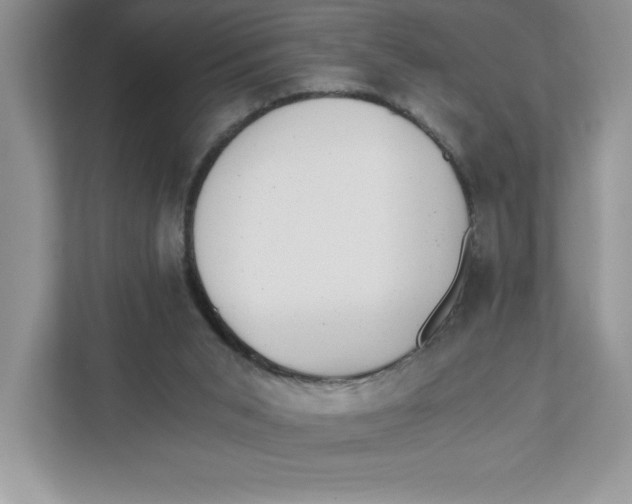 X0000110870015200907091410