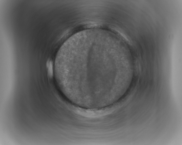 X0000110870022200907091410