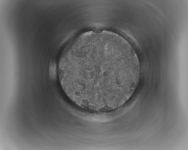 X0000110870024200907091410