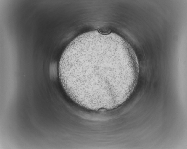 X0000110870028200907091410