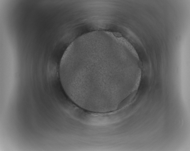 X0000110870029200907091410