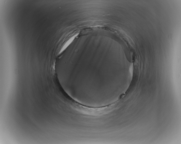 X0000110870035200907091410