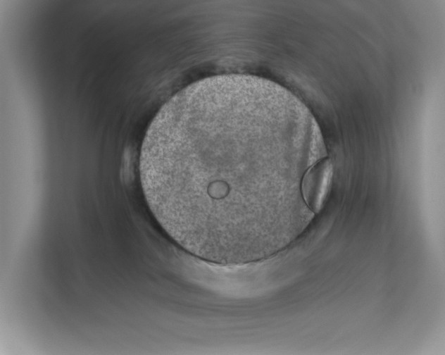 X0000110870038200907091410