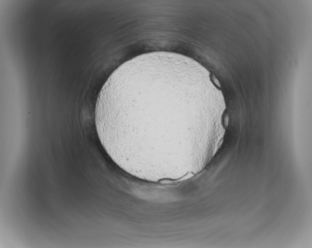 X0000110870040200907091410