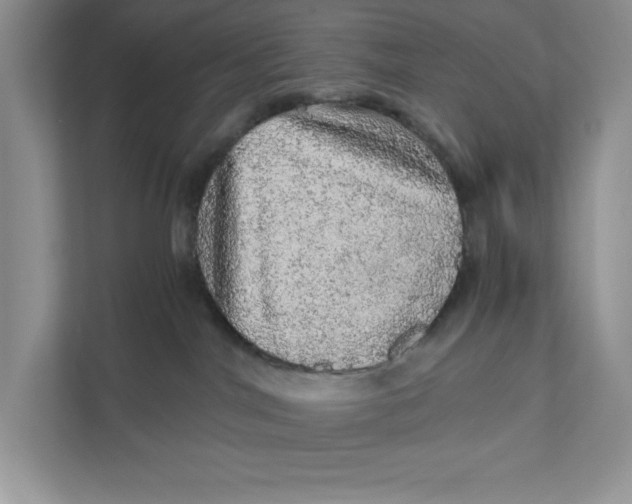 X0000110870044200907091410