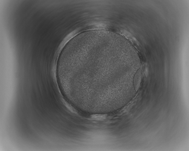 X0000110870051200907091409