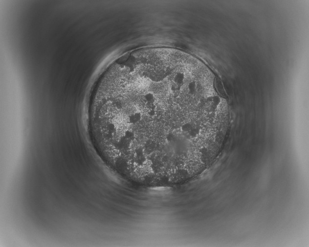 X0000110870053200907091409