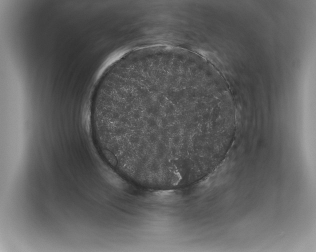 X0000110870054200907091409