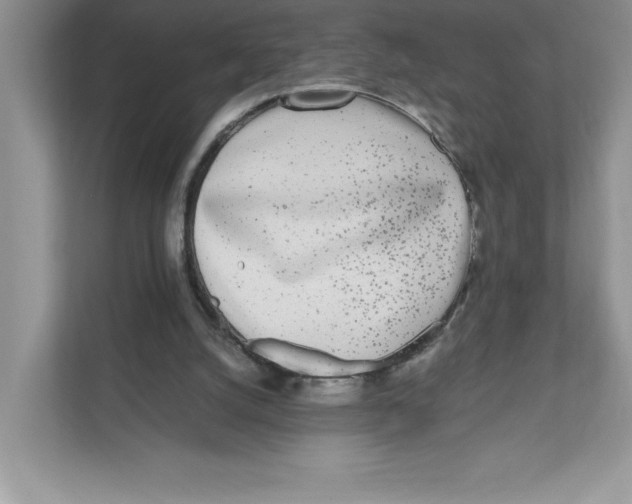 X0000110870056200907091409