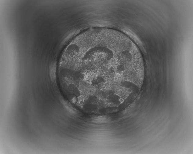 X0000110870058200907091409