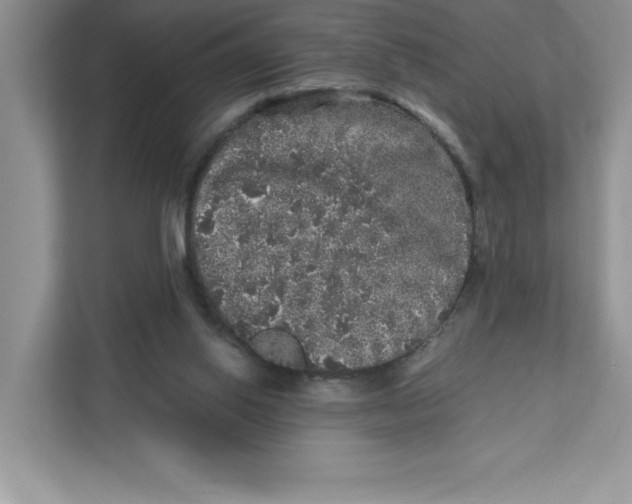 X0000110870062200907091409