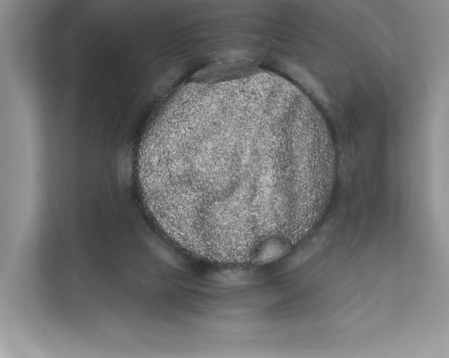 X0000110870065200907091409