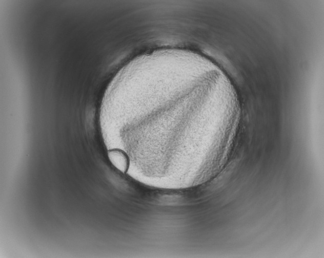 X0000110870066200907091409