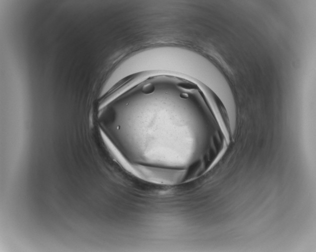 X0000110870068200907091409