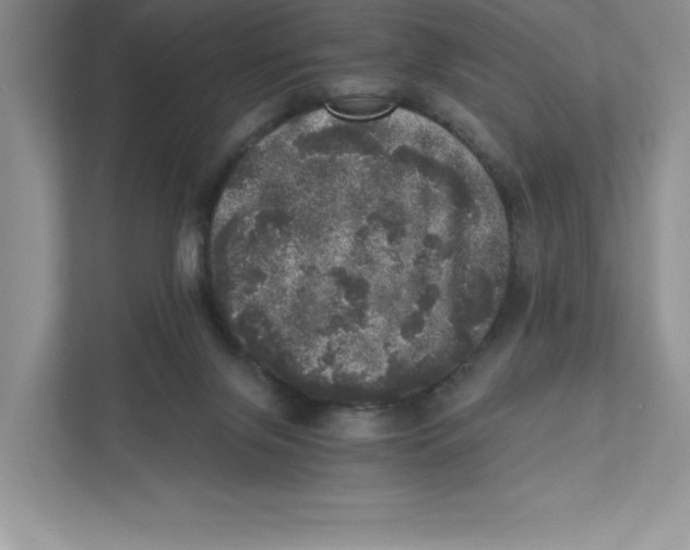 X0000110870071200907091410